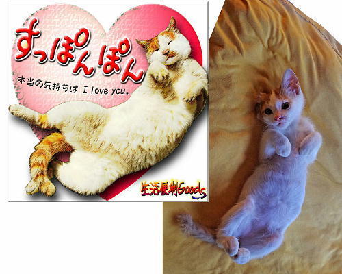 温泉とまんじゅう.jpg